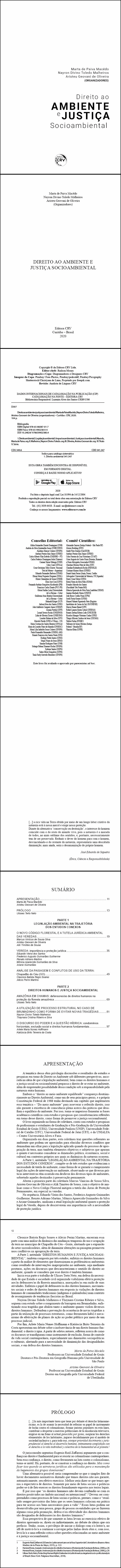 DIREITO AO AMBIENTE E JUSTIÇA SOCIOAMBIENTAL